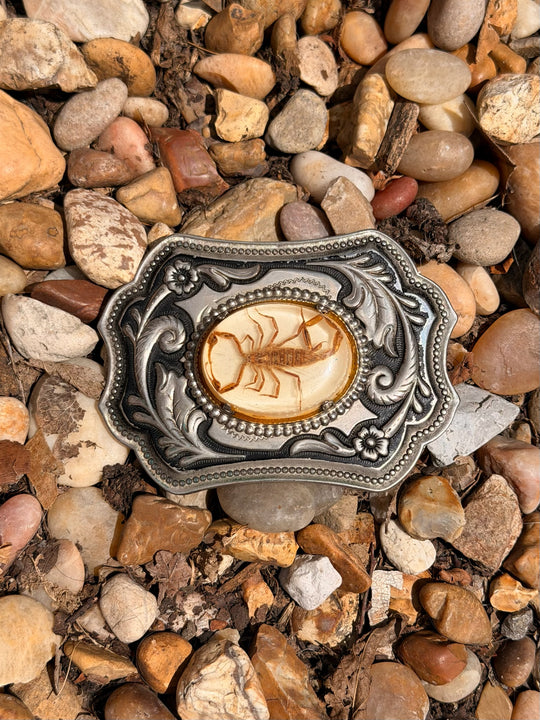 Vintage Belt Buckle: Scorpion in Resin