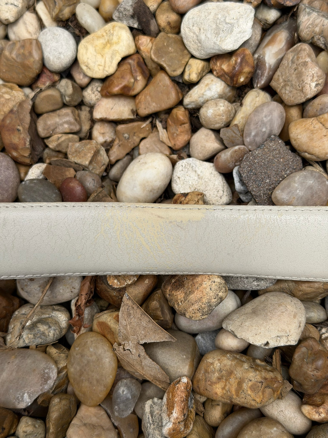 Vintage Beige leather belt with Tiger Buckle