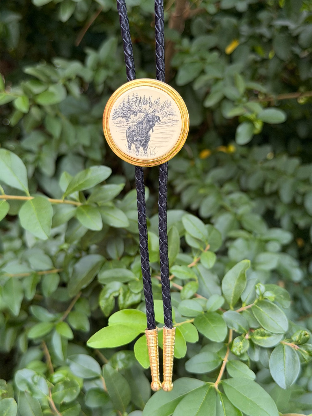 Black Leather Bolo Tie, Scrimshaw Moose Slide