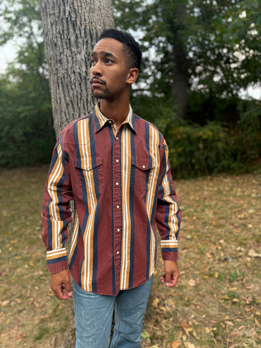 Men's Brown Gold Striped Brushpopper Western Shirt, Wrangler